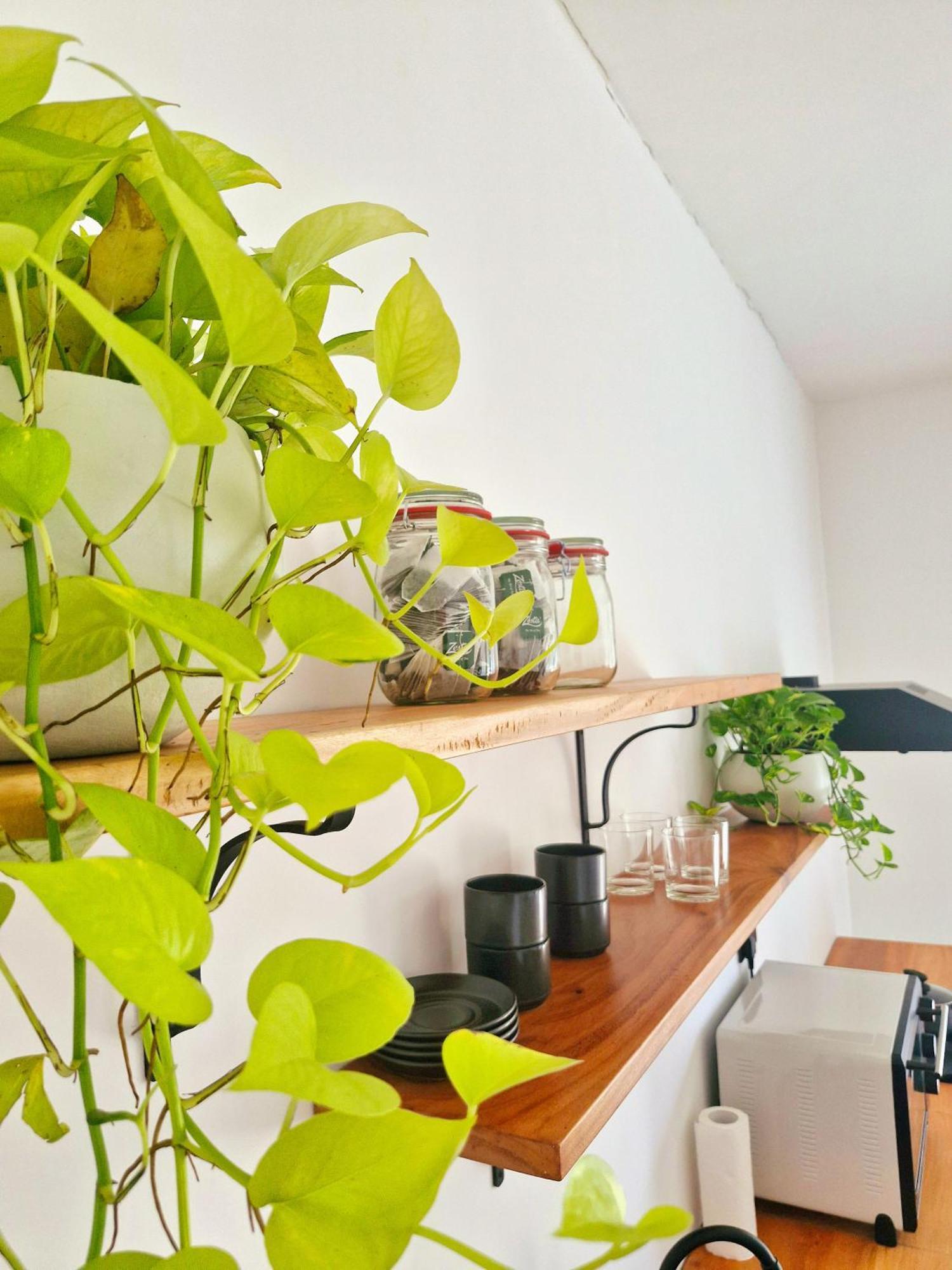 White Nest Apartment